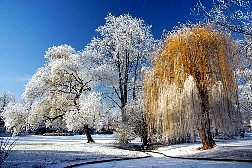 Winter in Kornwestheim